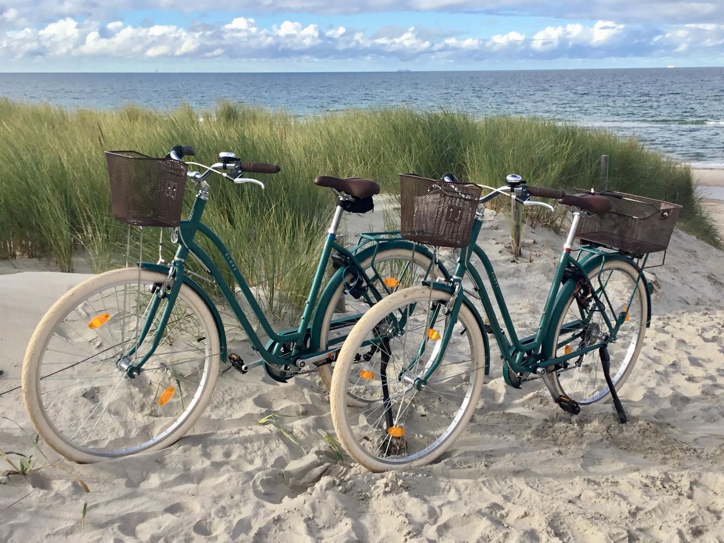  Ferienwohnung KWi 36 EG "Rauchschwalbe" Graal-Müritz Küstenwald - Sport / Aktivitäten