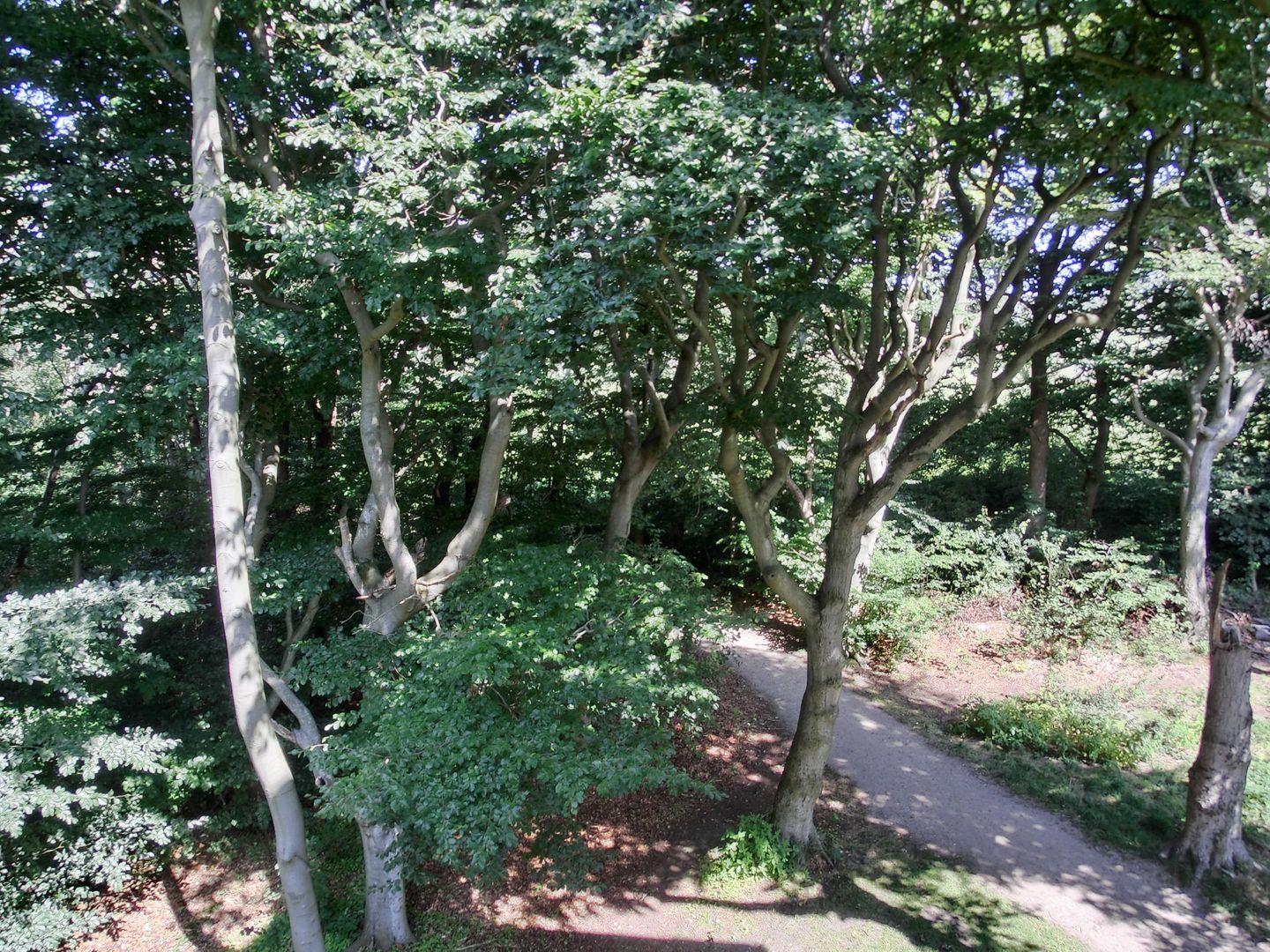  Ferienwohnung W18.2.N Graal-Müritz - Landschaft