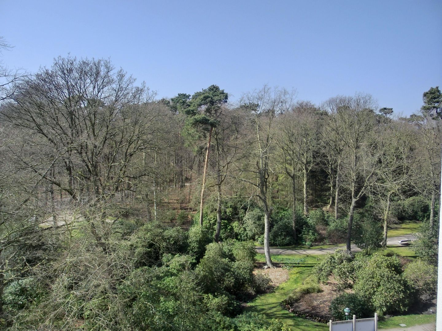 Ferienwohnung LP24 Graal-Müritz - Landschaft