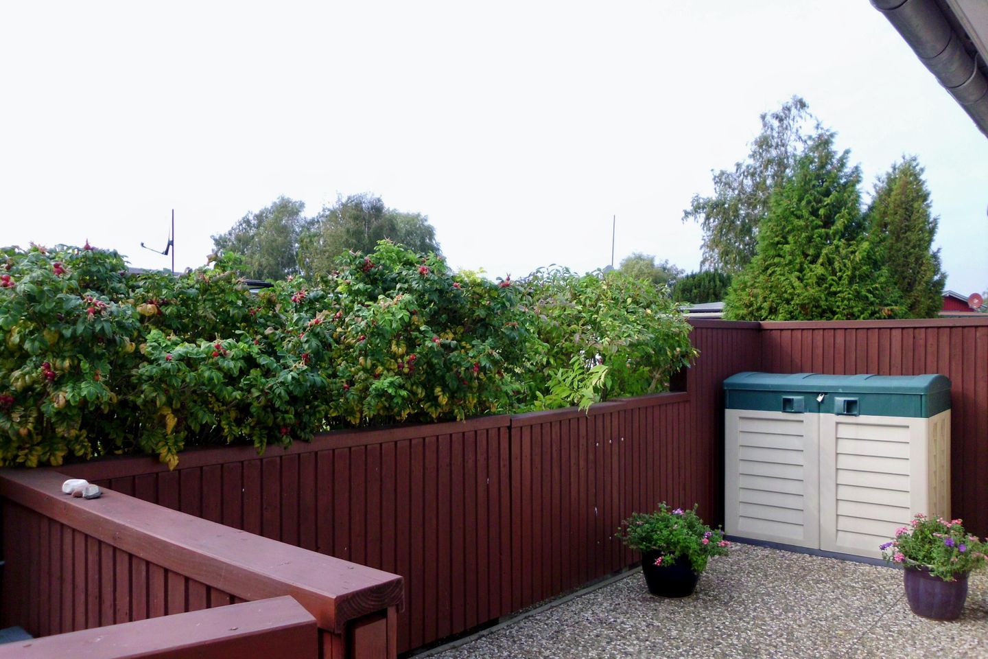  Ferienhaus FH18 Graal-Müritz - Terrasse