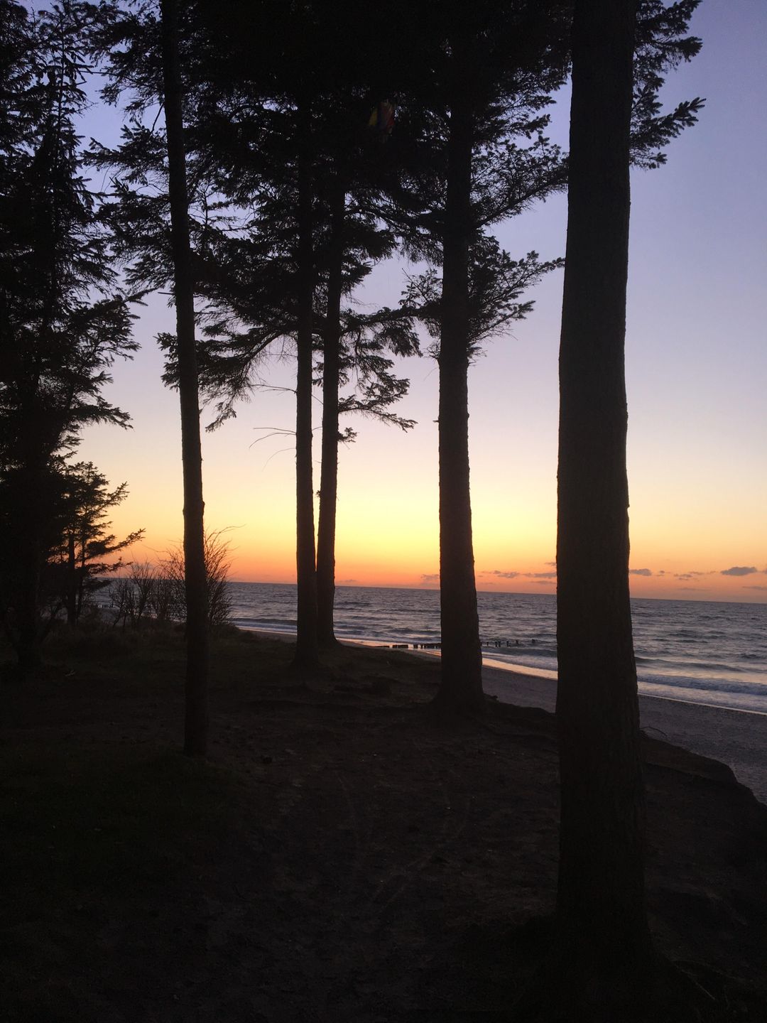  Ferienwohnung KWi 63 OG Graal-Müritz Küstenwald - Strand