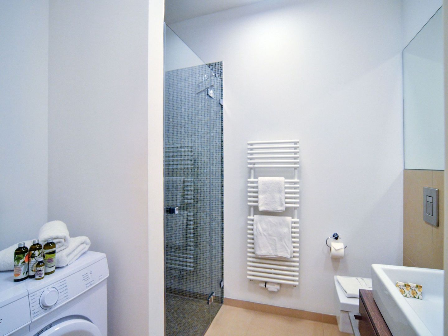 Dünenresidenz Prora Ferienwohnung mit Meerblick und 1 Schlafzimmer und Terrasse (NP/704) Insel Rügen - Badezimmer