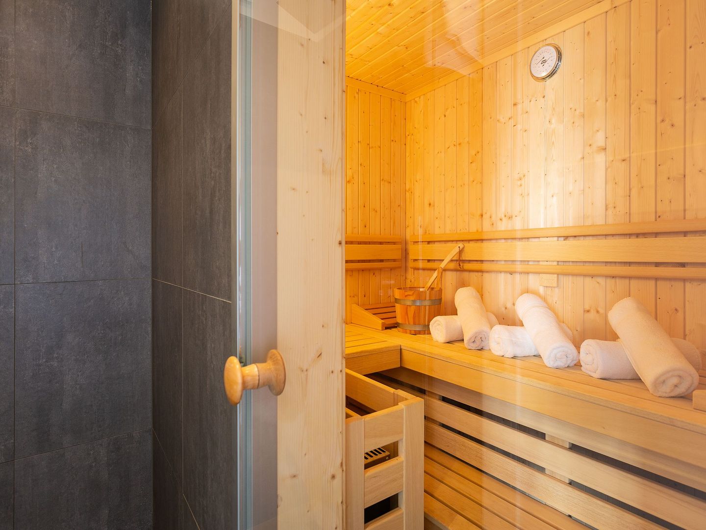 Premium Reetdachvilla mit 3 Schlafzimmern, Sauna und Kamin (F07) - Sauna