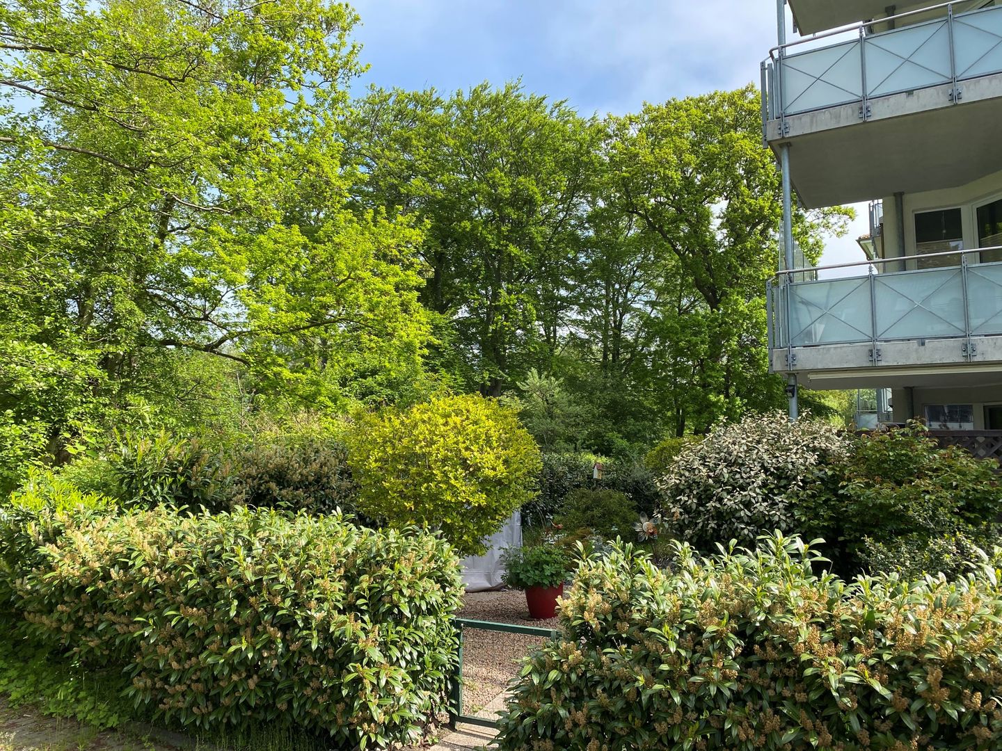  FEWO i35 Graal-Müritz - Garten