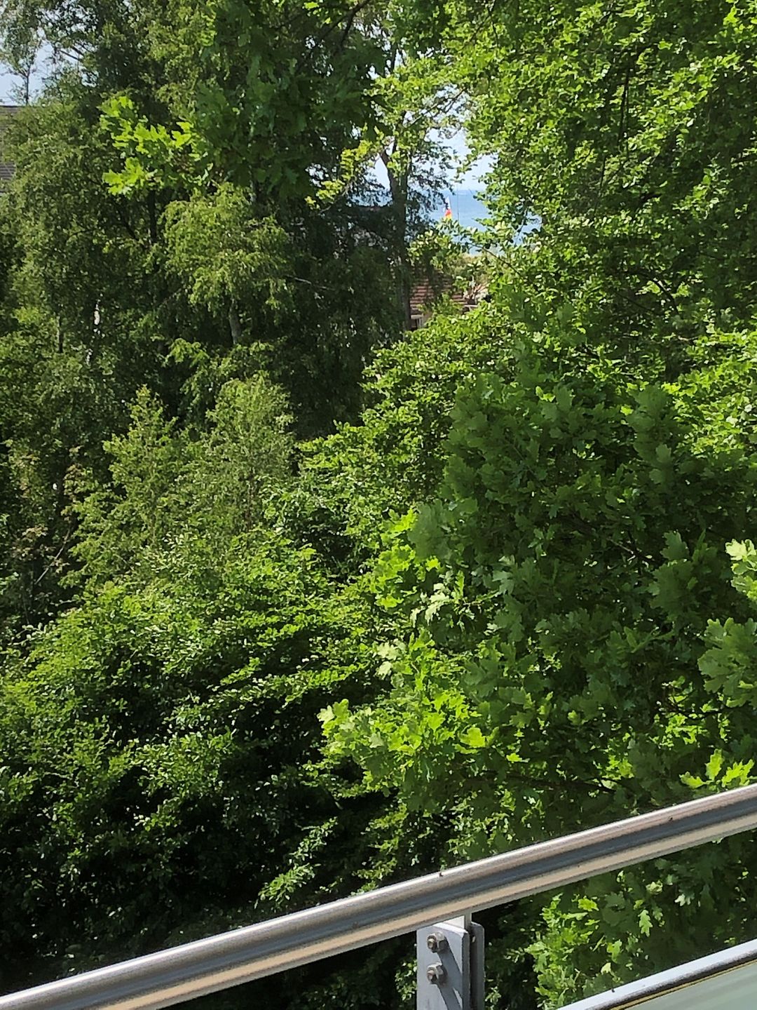  Ferienwohnung i9 Graal-Müritz - Meerblick