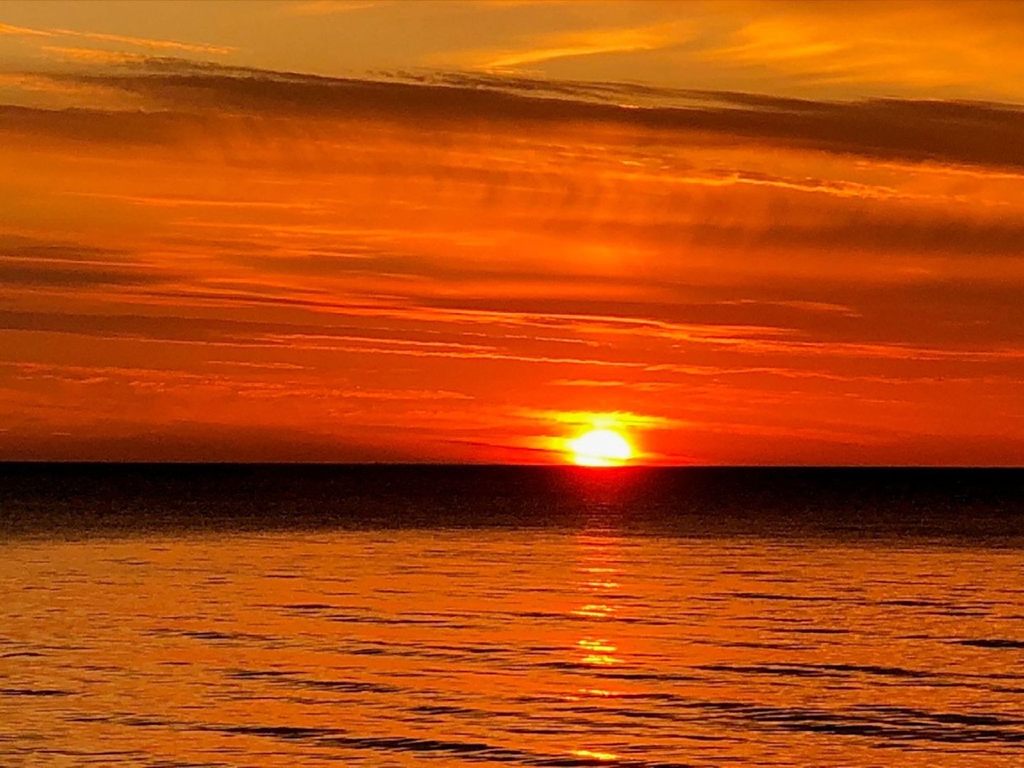 Feriendorf Rugana Komfortplus Ferienwohnung mit 1 Schlafzimmer und Terrasse (A07) Insel Rügen - Strand