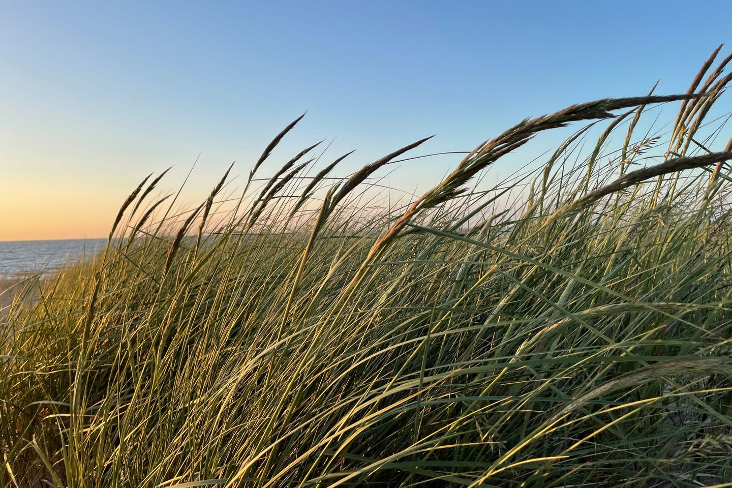  Ferienwohnung L47 Graal-Müritz - Landschaft