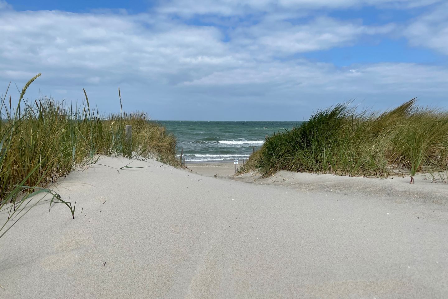  Ferienwohnung L47 Graal-Müritz - Landschaft