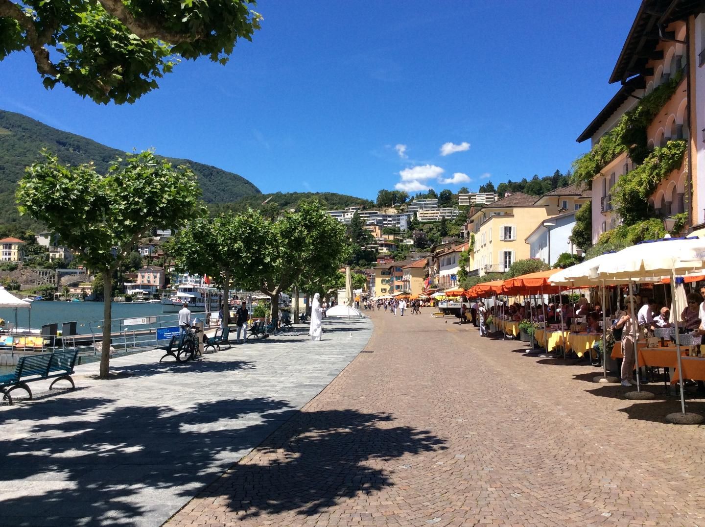 Picture 33 Picture 33