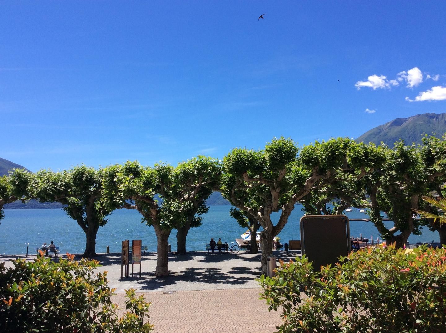 Picture 27 Picture 27