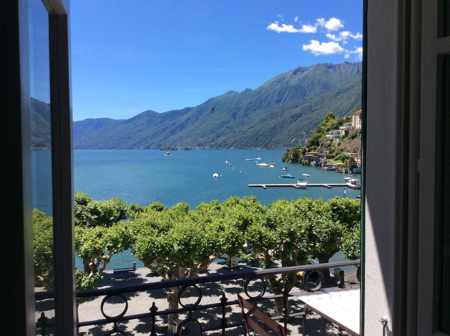 Picture 12 Picture 12