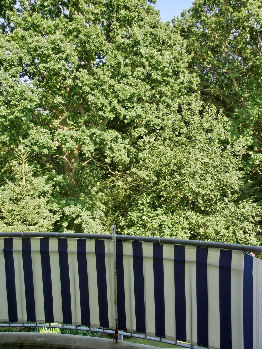  Ferienwohnung S31 Graal-Müritz - Balkon