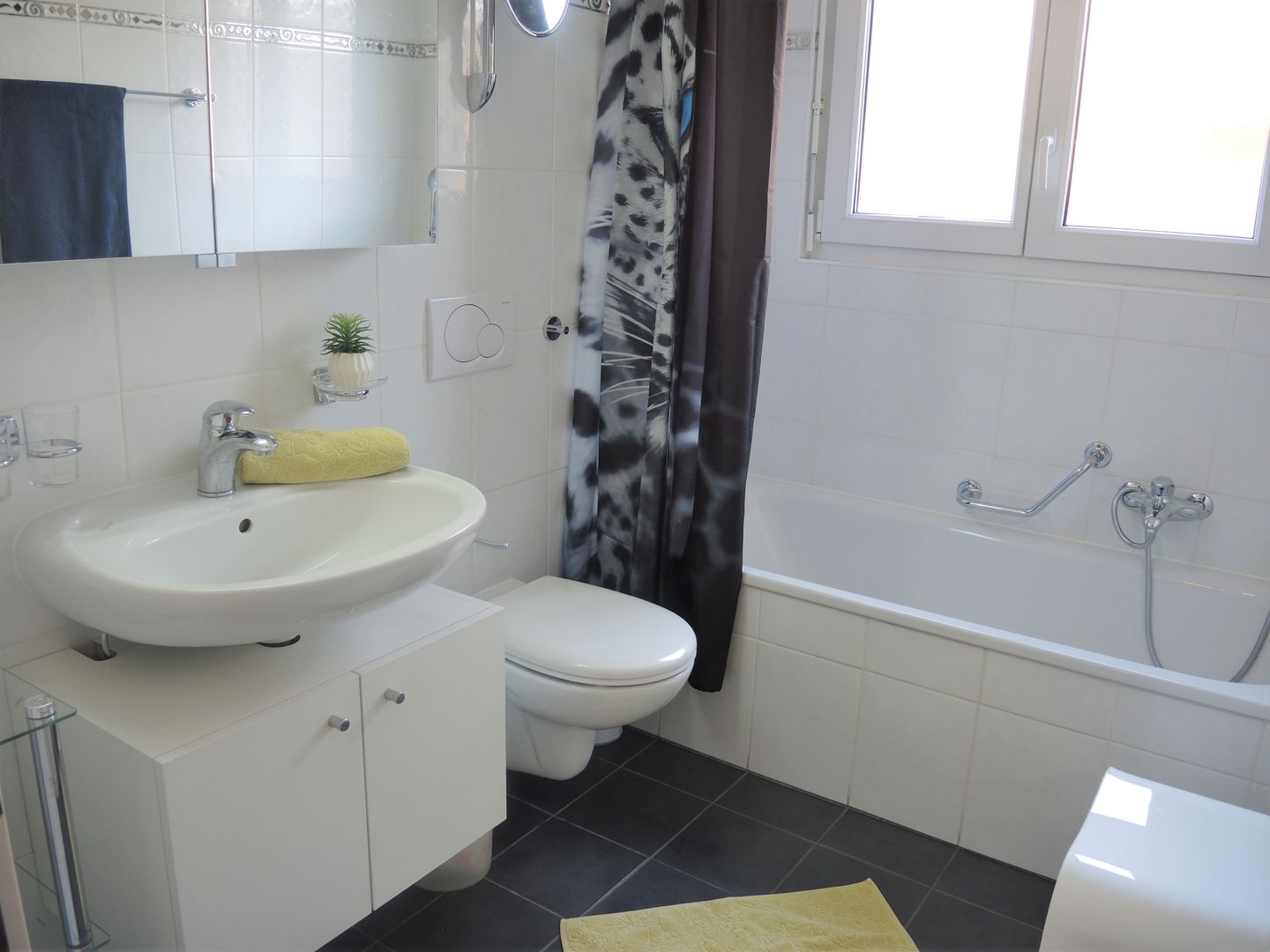 Picture 21 Picture 21