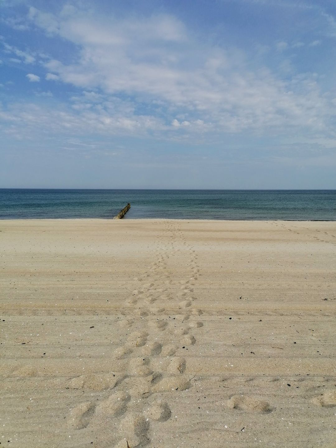  Ferienwohnung M32 "Linde" Graal-Müritz - Strand
