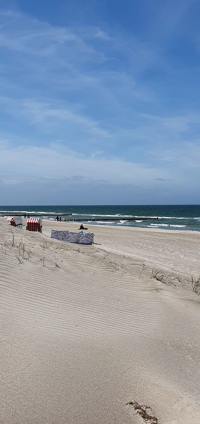  Ferienwohnung KWE 24EG - "meerLiebe" Graal-Müritz Küstenwald - Strand