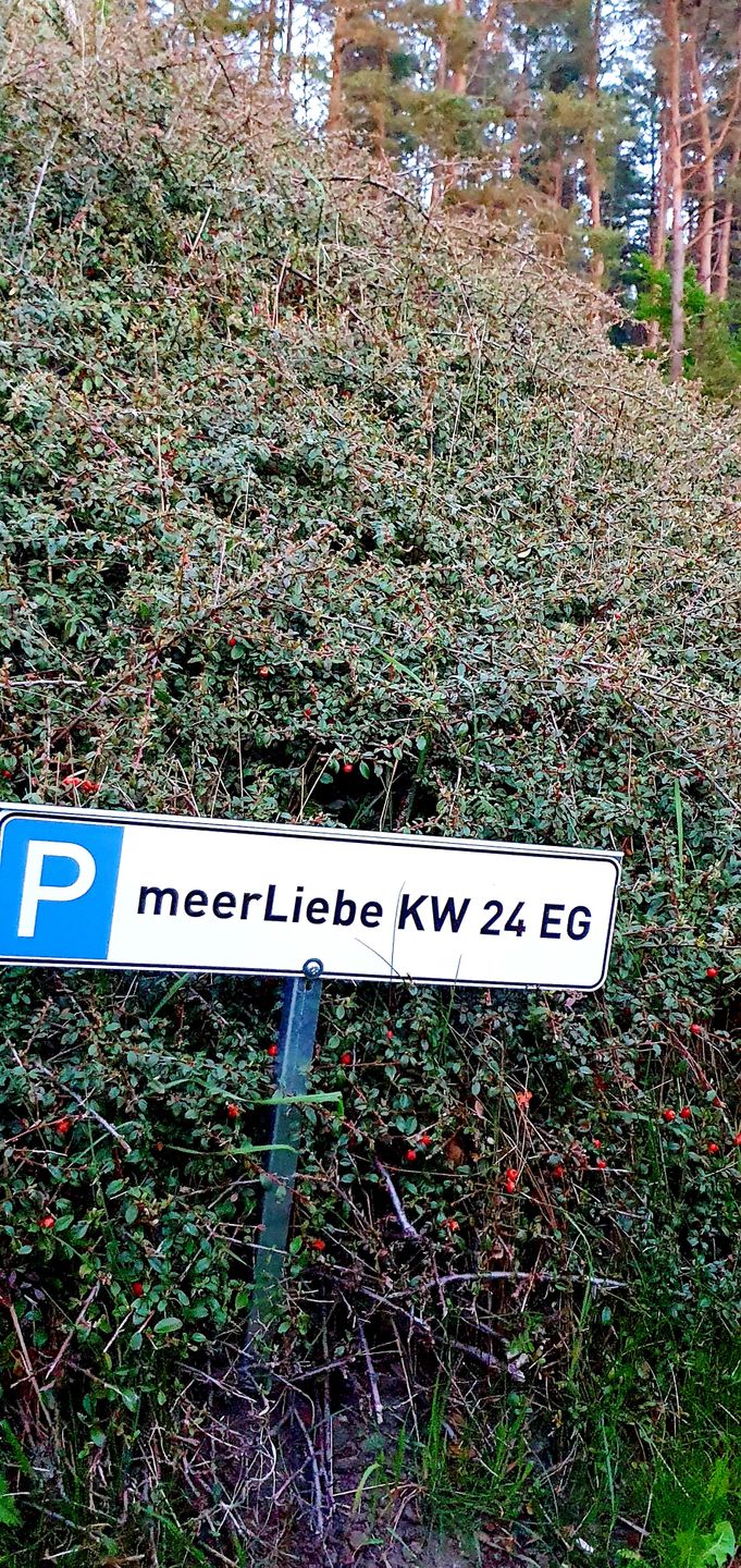  Ferienwohnung KWE 24EG - "meerLiebe" Graal-Müritz Küstenwald - Hauptansicht