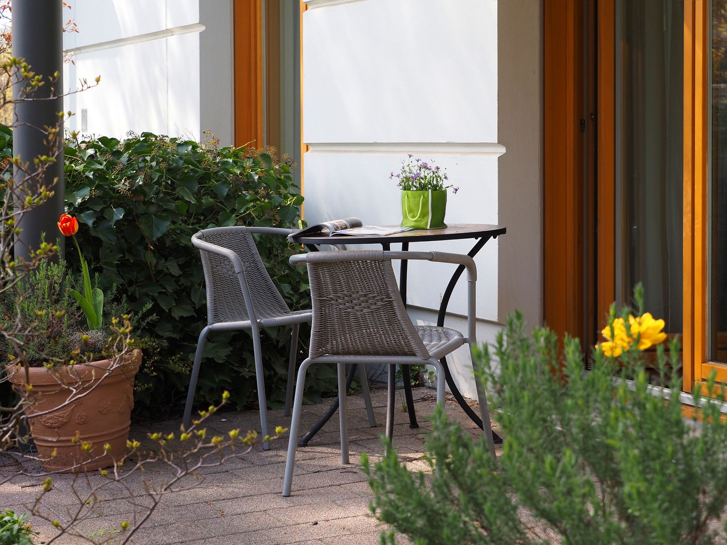 Kaiservillen Heringsdorf 1-Raum-Ferienwohnung mit Terrasse (D103) Insel Usedom - Terrasse