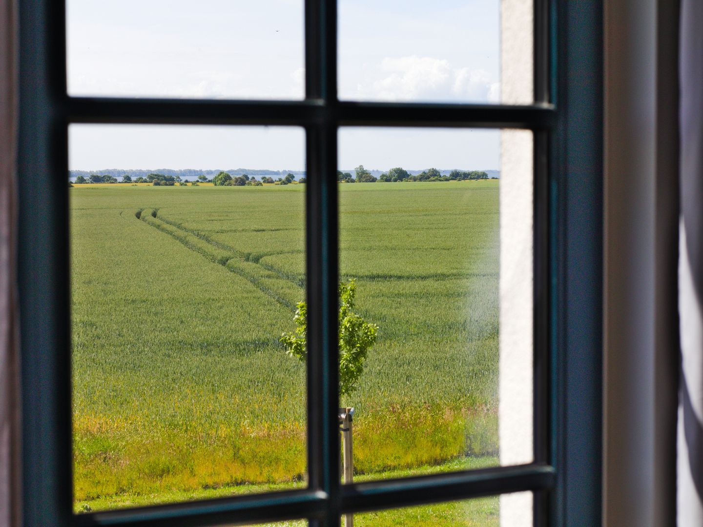 Premium Reetdachvilla mit 3 Schlafzimmern, Sauna und Kamin (F13) - Gartenblick