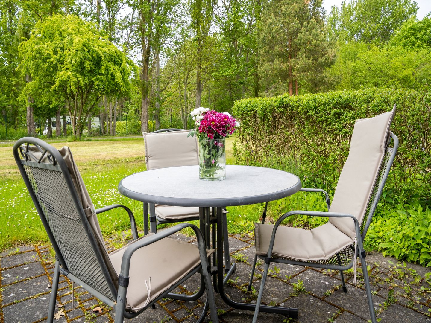 Feriendorf Rugana Komfort 1-Raum Ferienwohnung mit Terrasse (C37) Insel Rügen - Terrasse