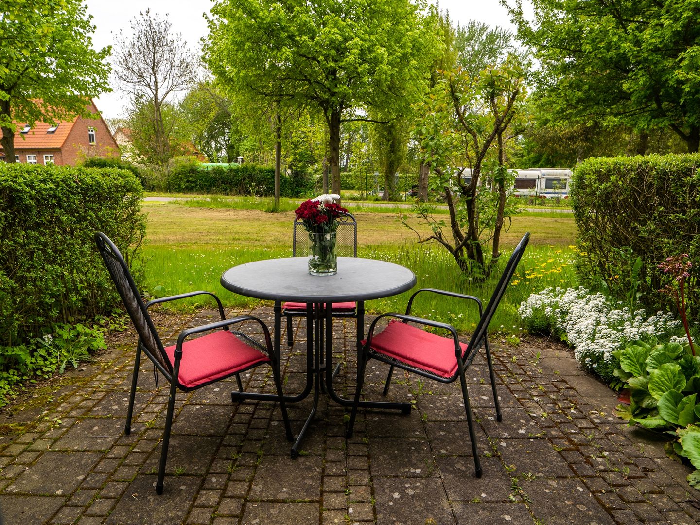 Feriendorf Rugana Komfort 1-Raum Ferienwohnung mit Terrasse (C46) Insel Rügen - Terrasse