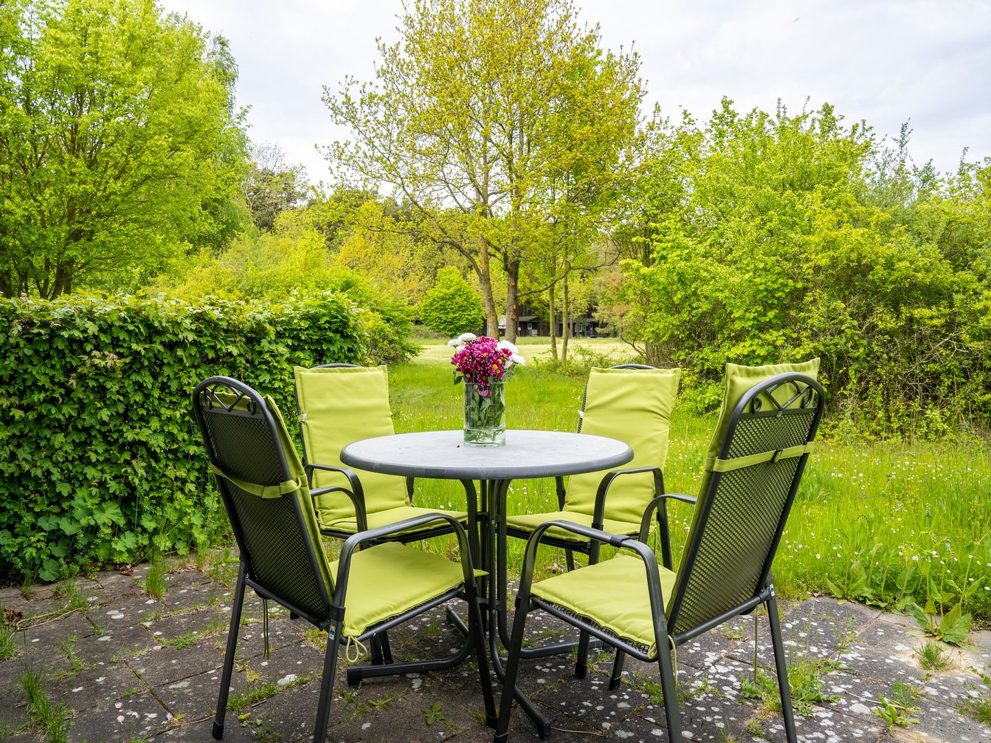 Feriendorf Rugana Komfort Ferienwohnung mit 1 Schlafzimmer und Terrasse (B11) Insel Rügen - Terrasse