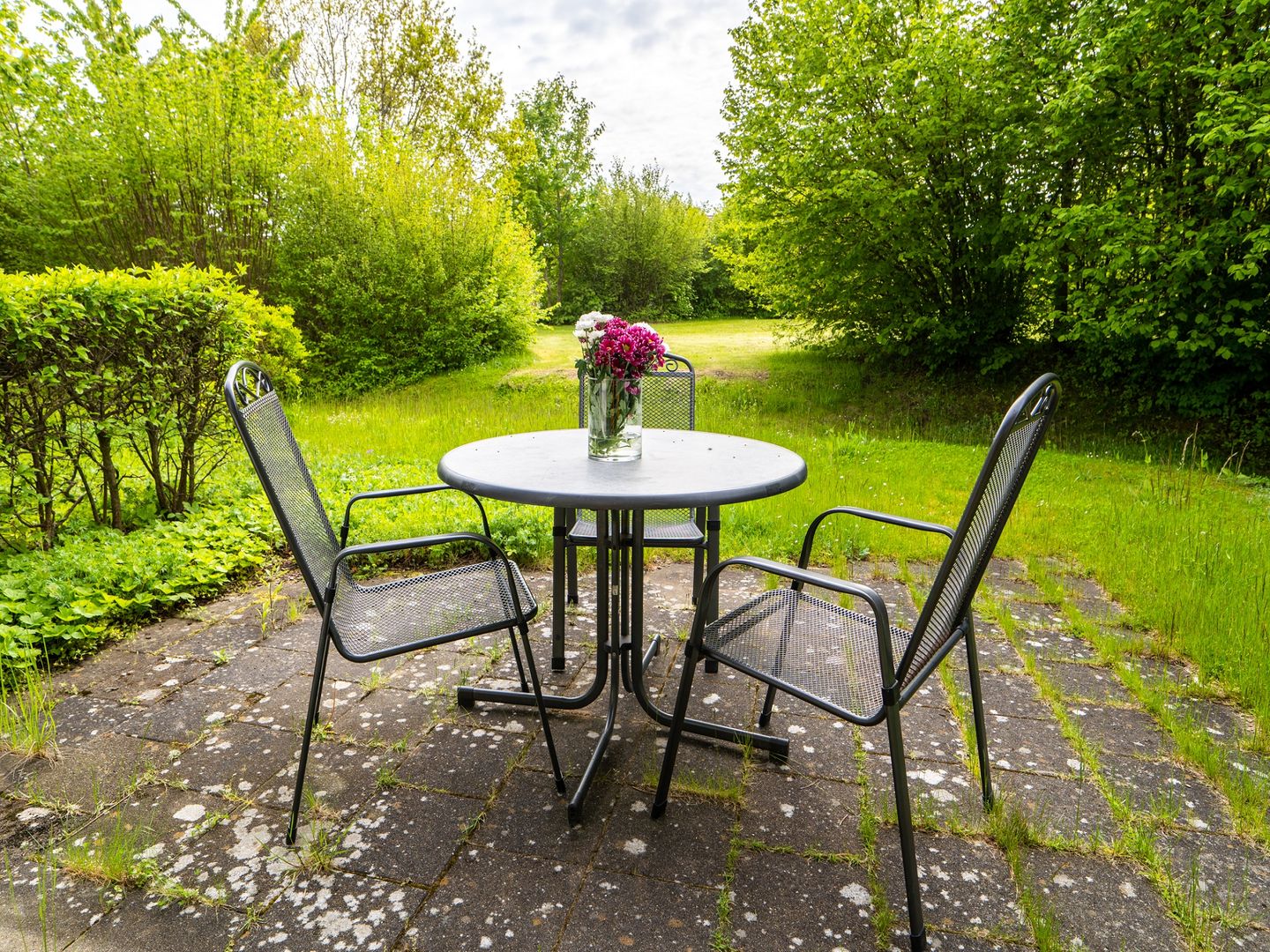 Feriendorf Rugana Komfortplus Ferienwohnung mit 1 Schlafzimmer und Terrasse (B20) Insel Rügen - Terrasse