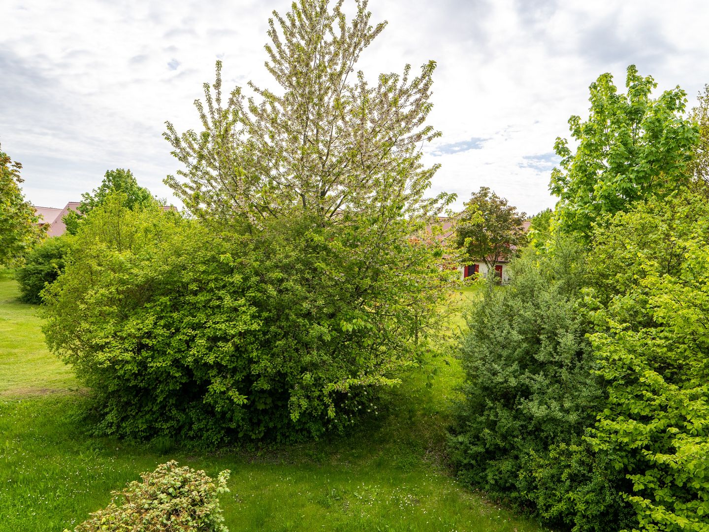 Feriendorf Rugana Komfortplus Ferienwohnung mit 1 Schlafzimmer (B26) Insel Rügen - Gartenblick