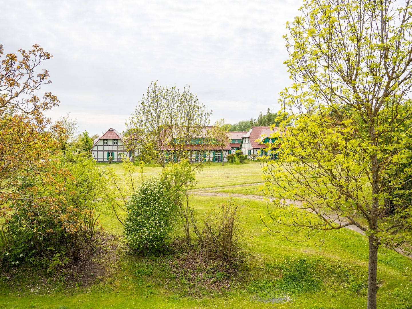 Feriendorf Rugana Klassik Ferienwohnung mit 1 Schlafzimmer (B57) Insel Rügen - Gartenblick