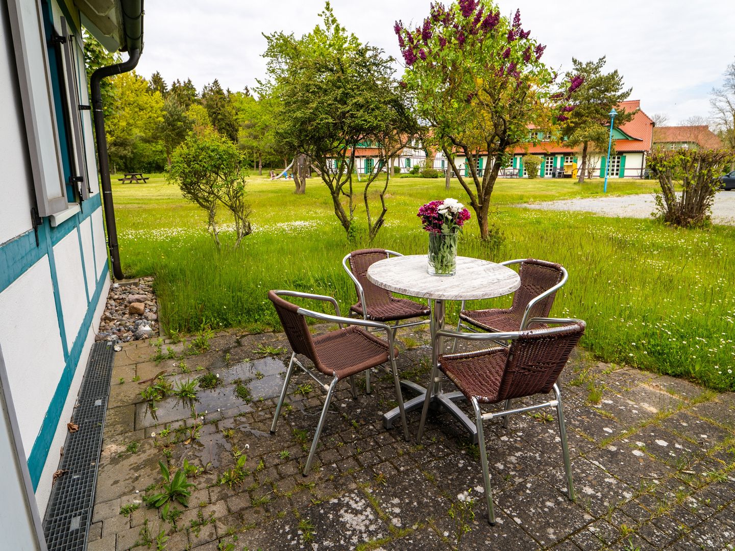 Feriendorf Rugana Klassik Ferienwohnung mit 1 Schlafzimmern und Terrasse (C33) Insel Rügen - Terrasse