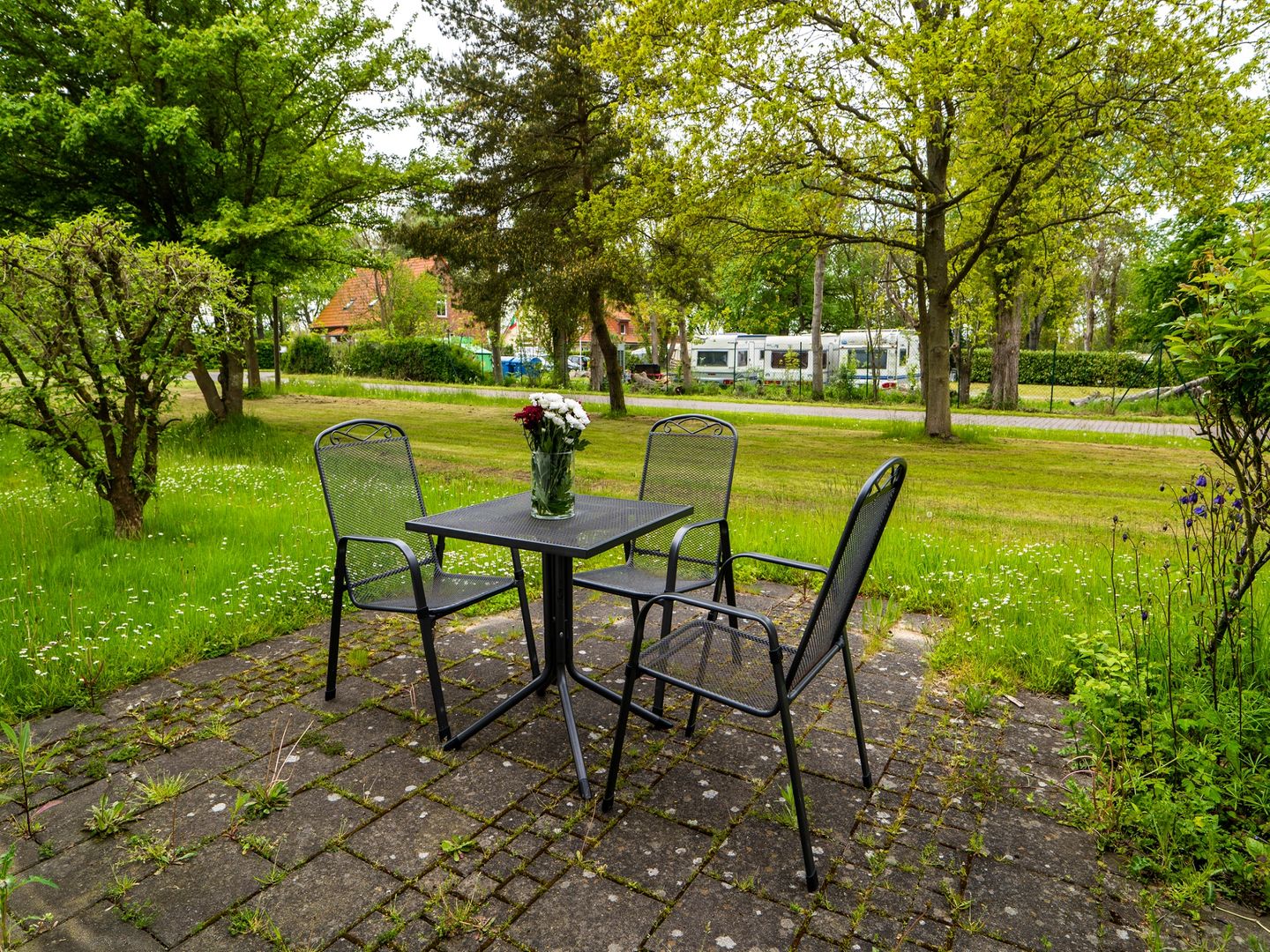 Feriendorf Rugana Komfort Ferienwohnung mit 1 Schlafzimmern und Terrasse (C42) Insel Rügen - Terrasse
