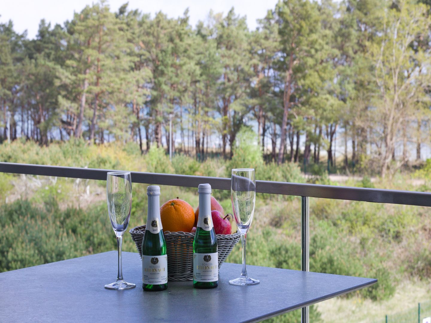Dünenresidenz Prora Ferienwohnung mit Meerblick, 2 Schlafzimmern und Loggia (NP/318) Insel Rügen - Meerblick
