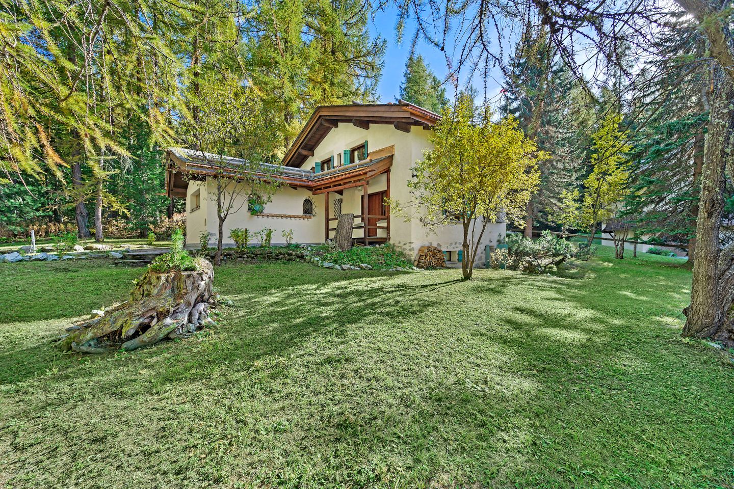 Picture 41 Picture 41