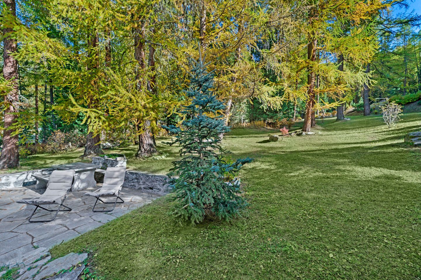 Picture 27 Picture 27