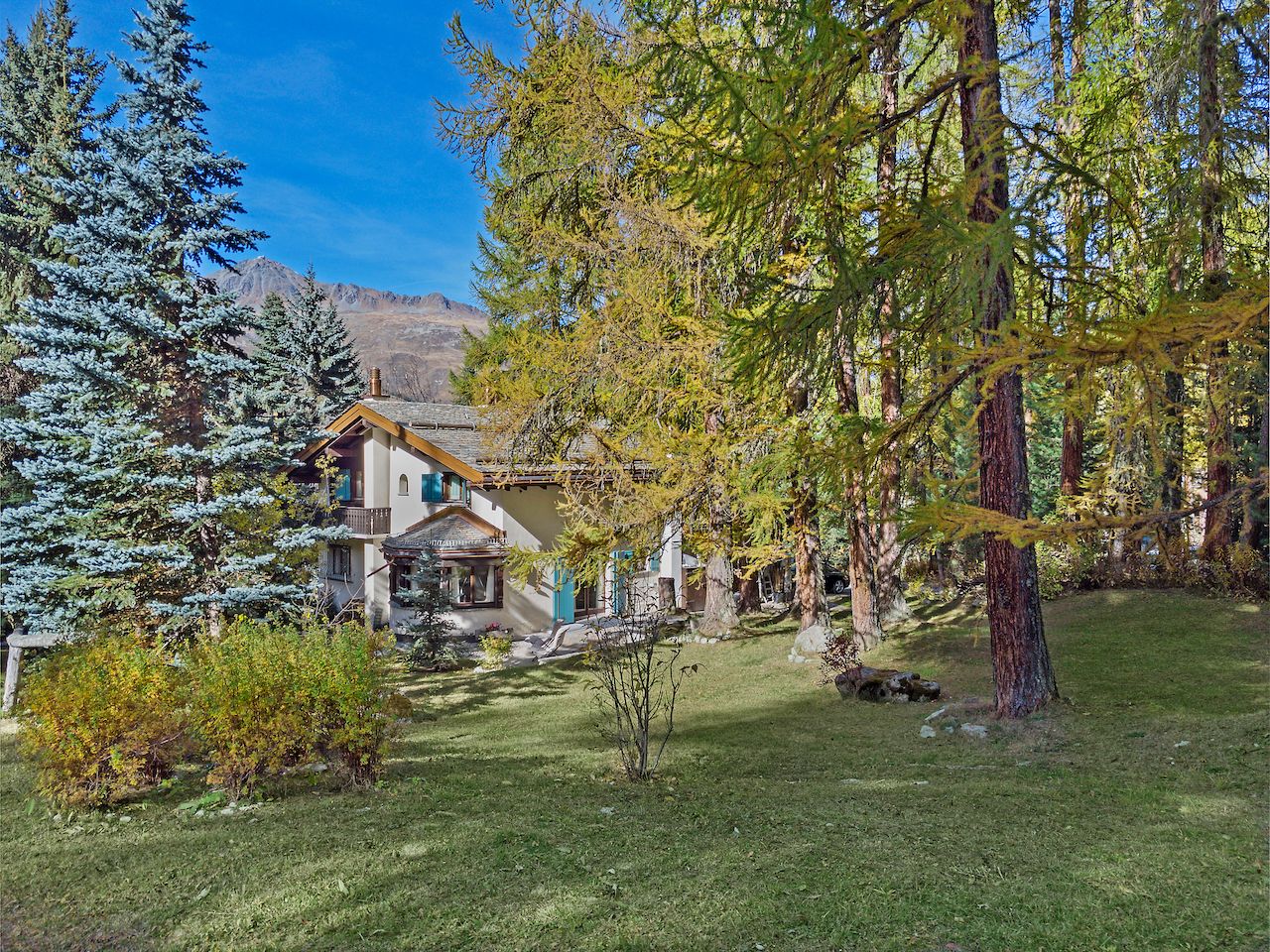 Picture 31 Picture 31