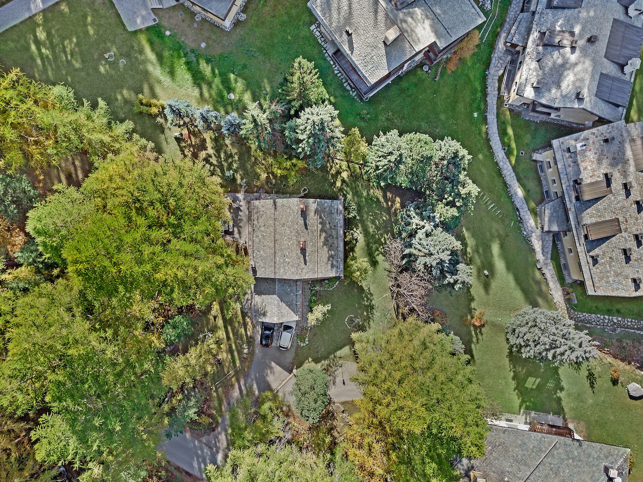 Picture 35 Picture 35