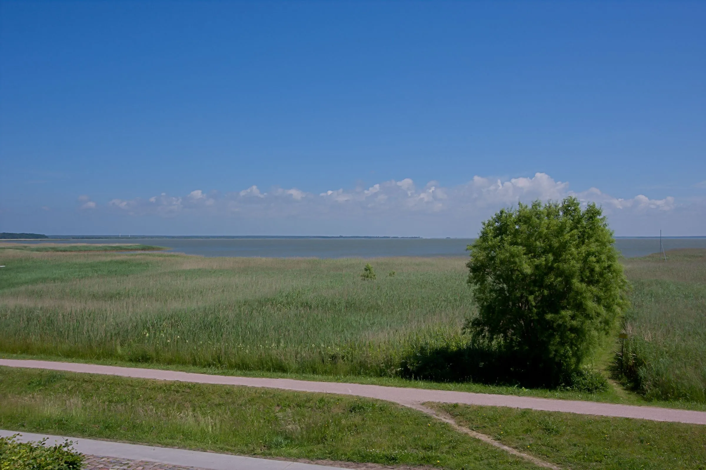  Haus am Schilf Ostseebad Ahrenshoop - 