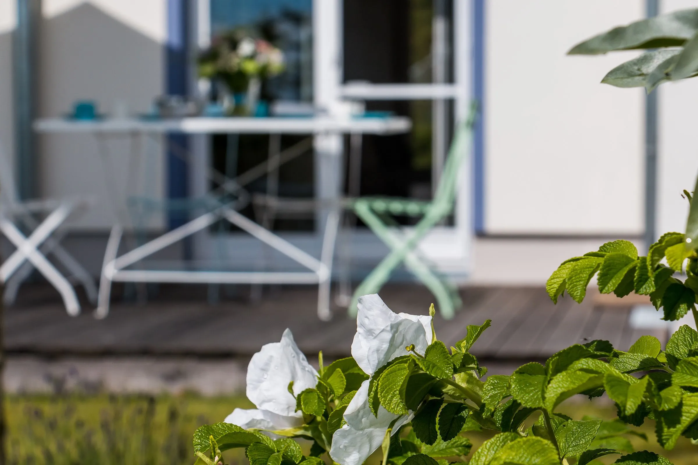  Haus am Schilf Ostseebad Ahrenshoop - 