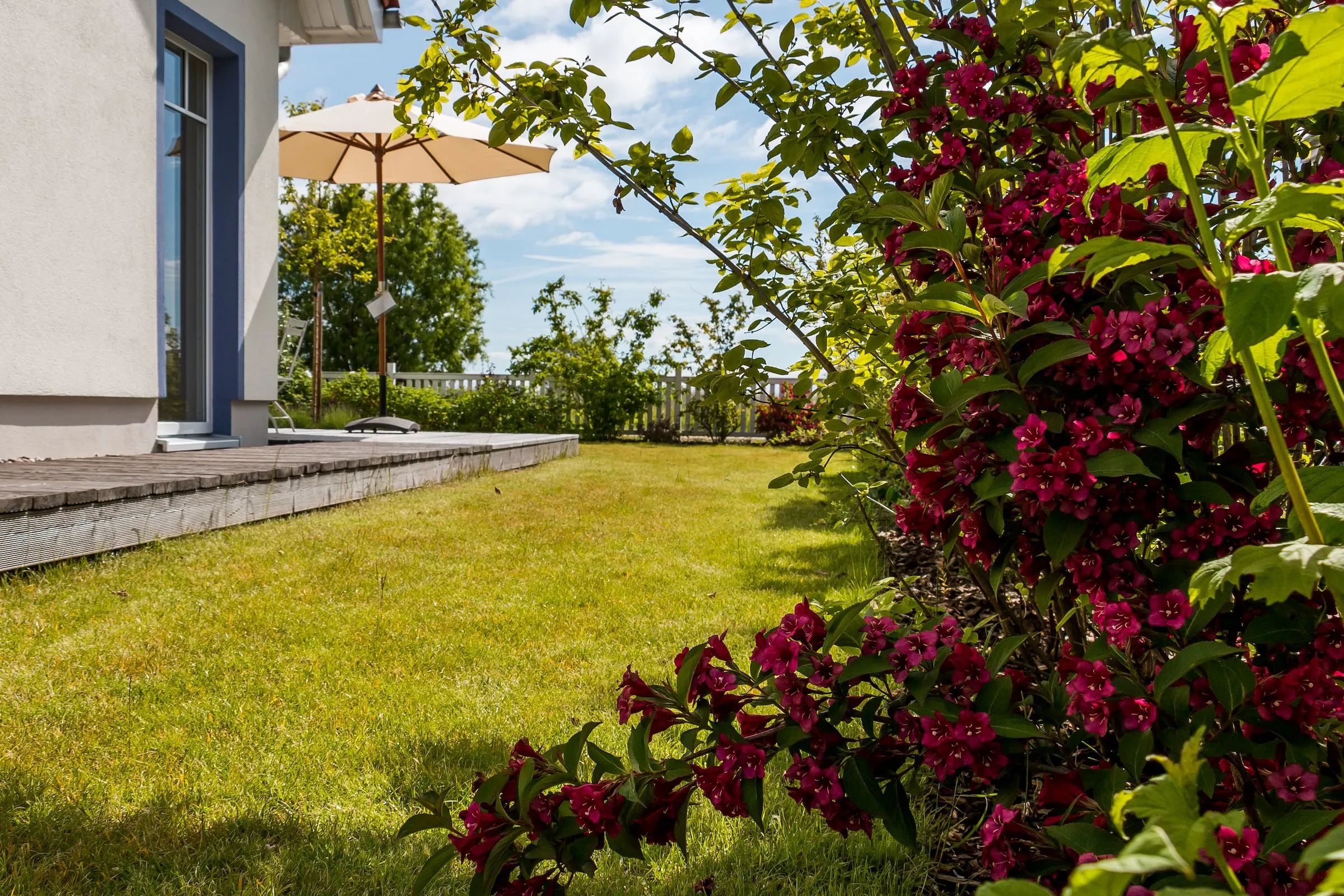  Haus am Schilf Ostseebad Ahrenshoop - 