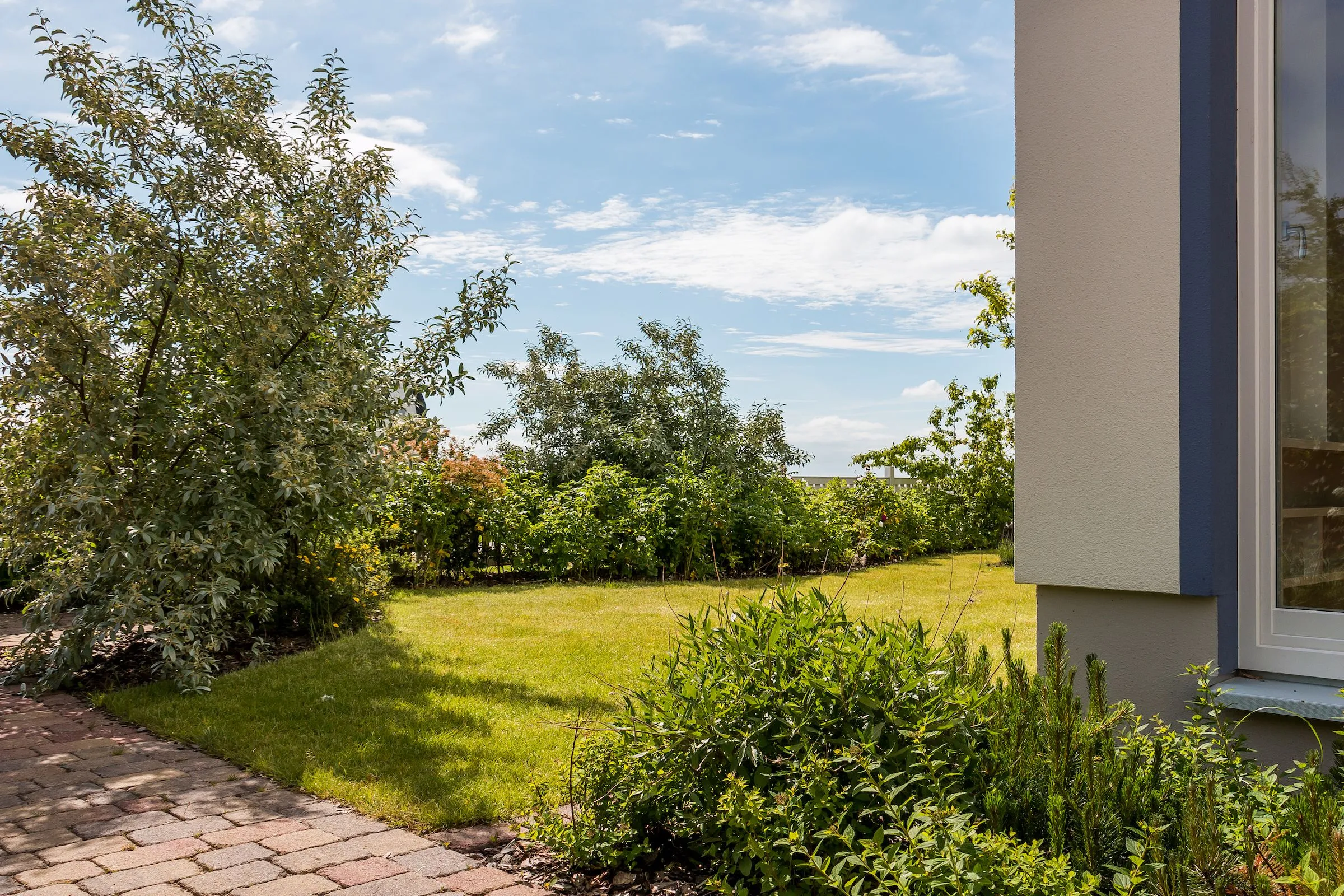  Haus am Schilf Ostseebad Ahrenshoop - 