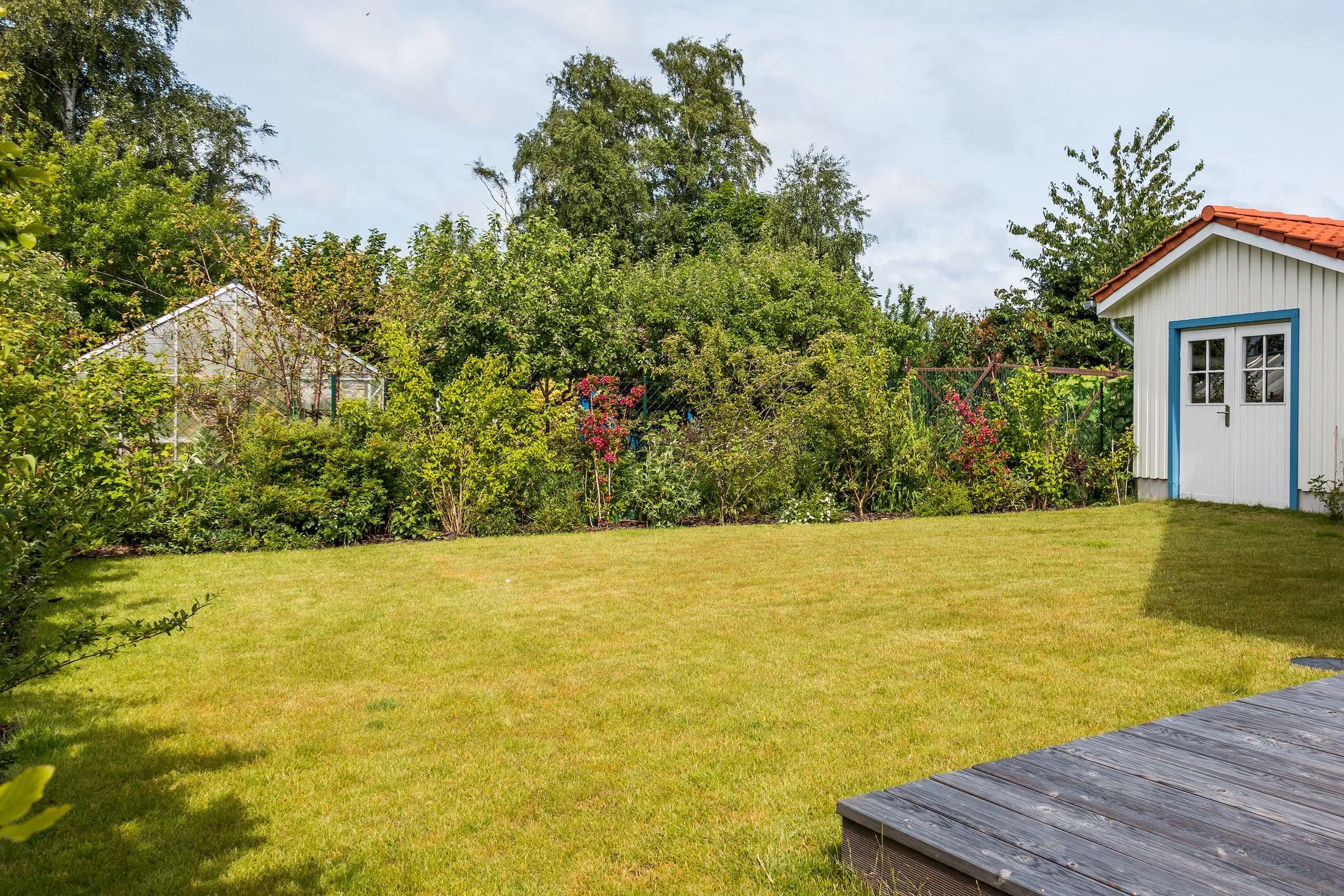  Haus am Schilf Ostseebad Ahrenshoop - 