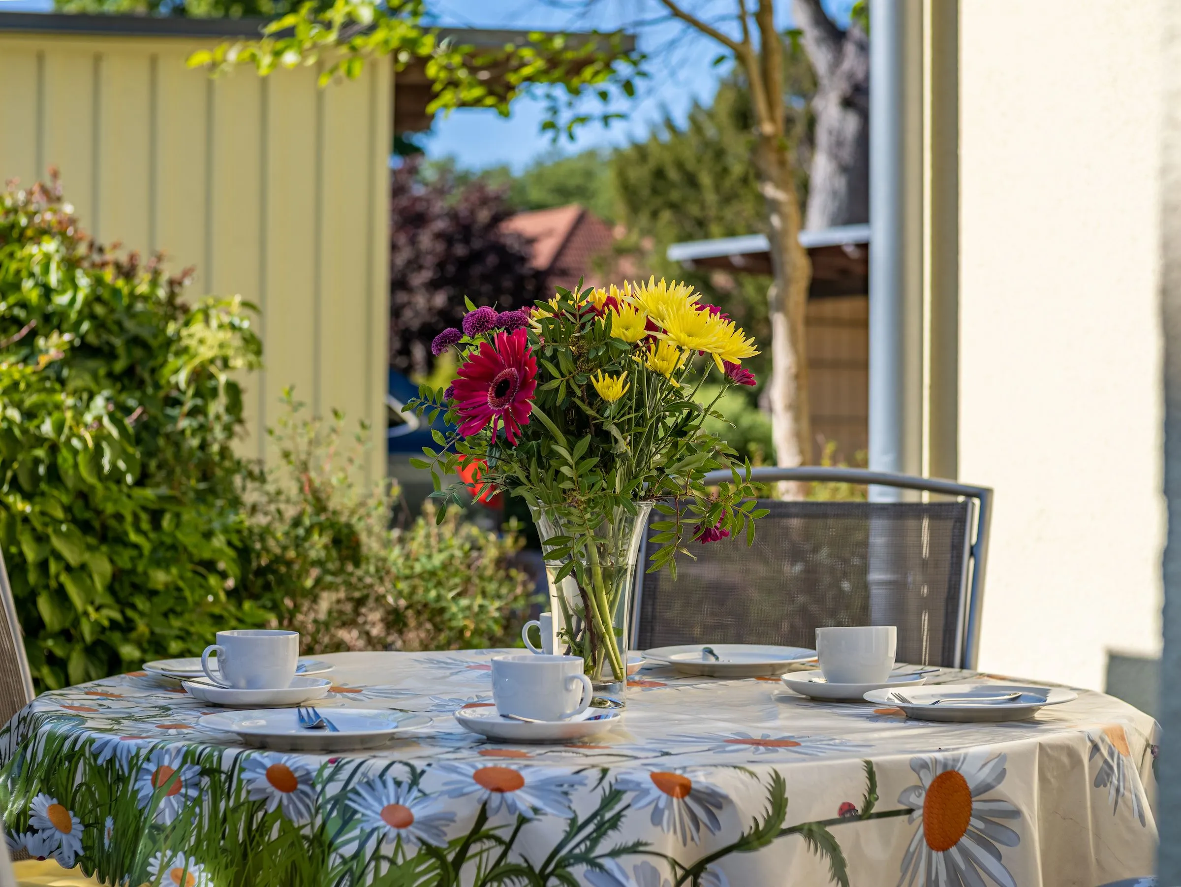 Ferienwohnanlage Grüne Straße FeWo G6 (EG rechts) Ostseebad Prerow - 
