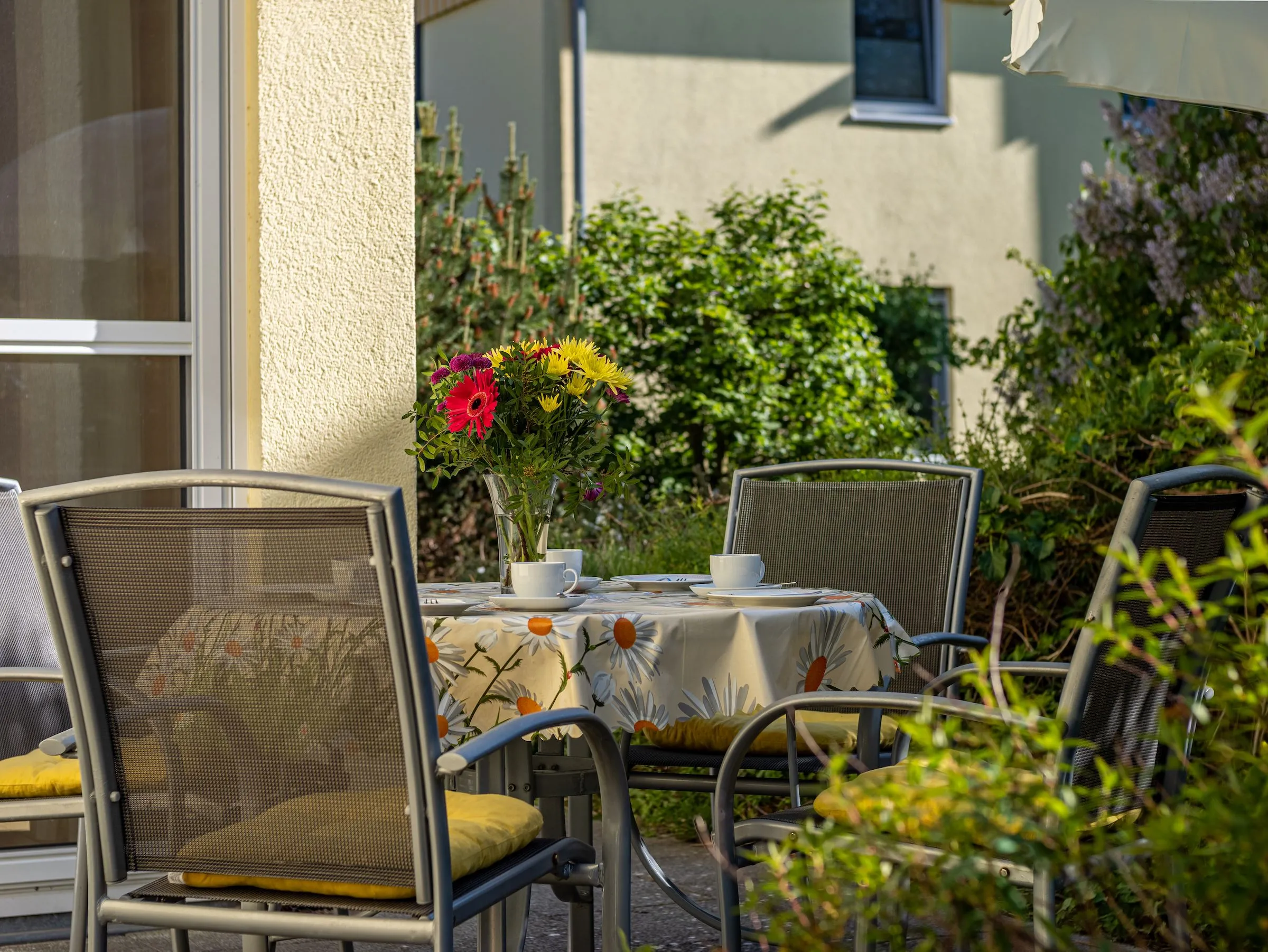 Ferienwohnanlage Grüne Straße FeWo G6 (EG rechts) Ostseebad Prerow - 