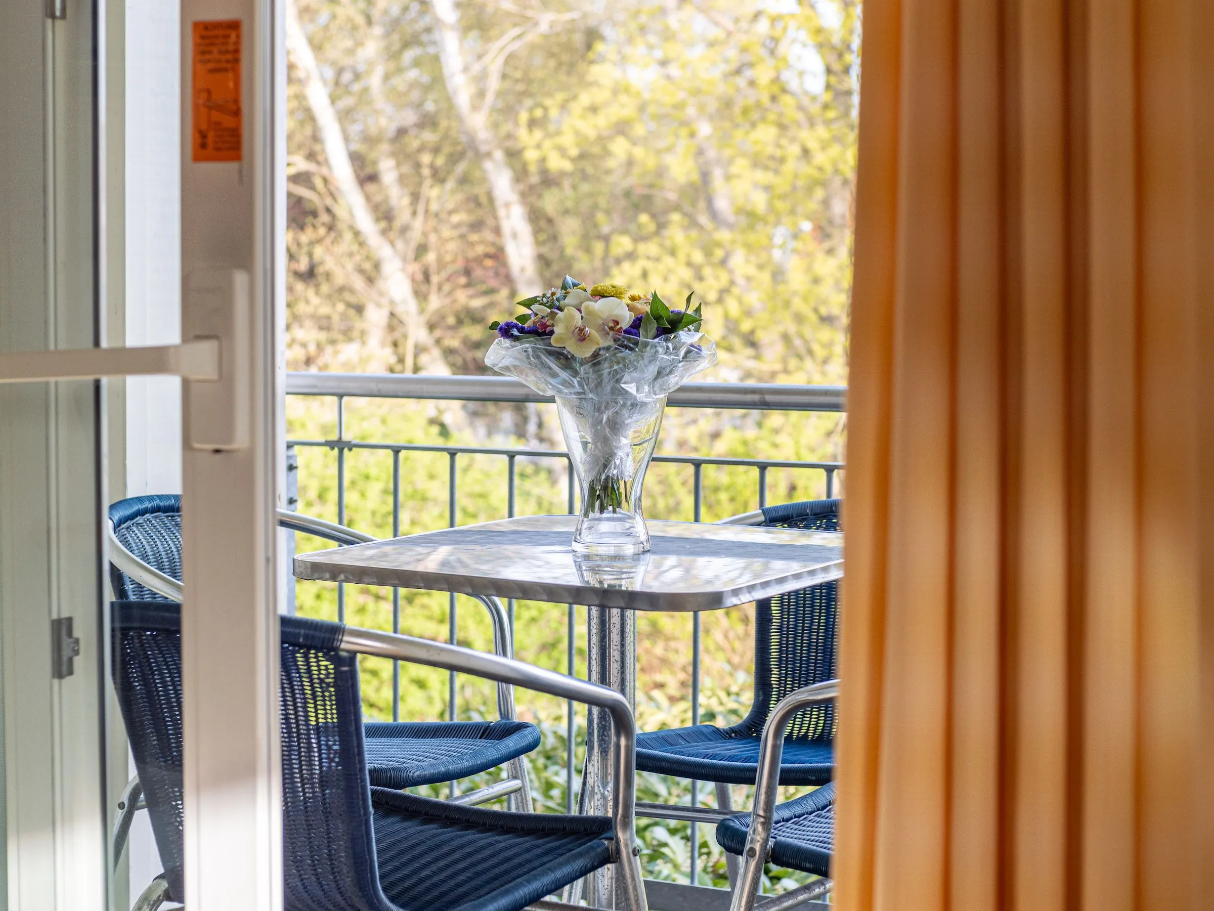 Ferienwohnanlage Schulstraße FeWo S3 (DG rechts) Ostseebad Prerow - 