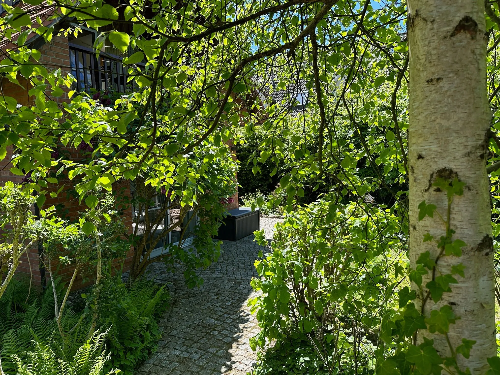 Ferienwohnanlage Dünenhof DÜNENHOF Whg. D-01 Ostseebad Wustrow -