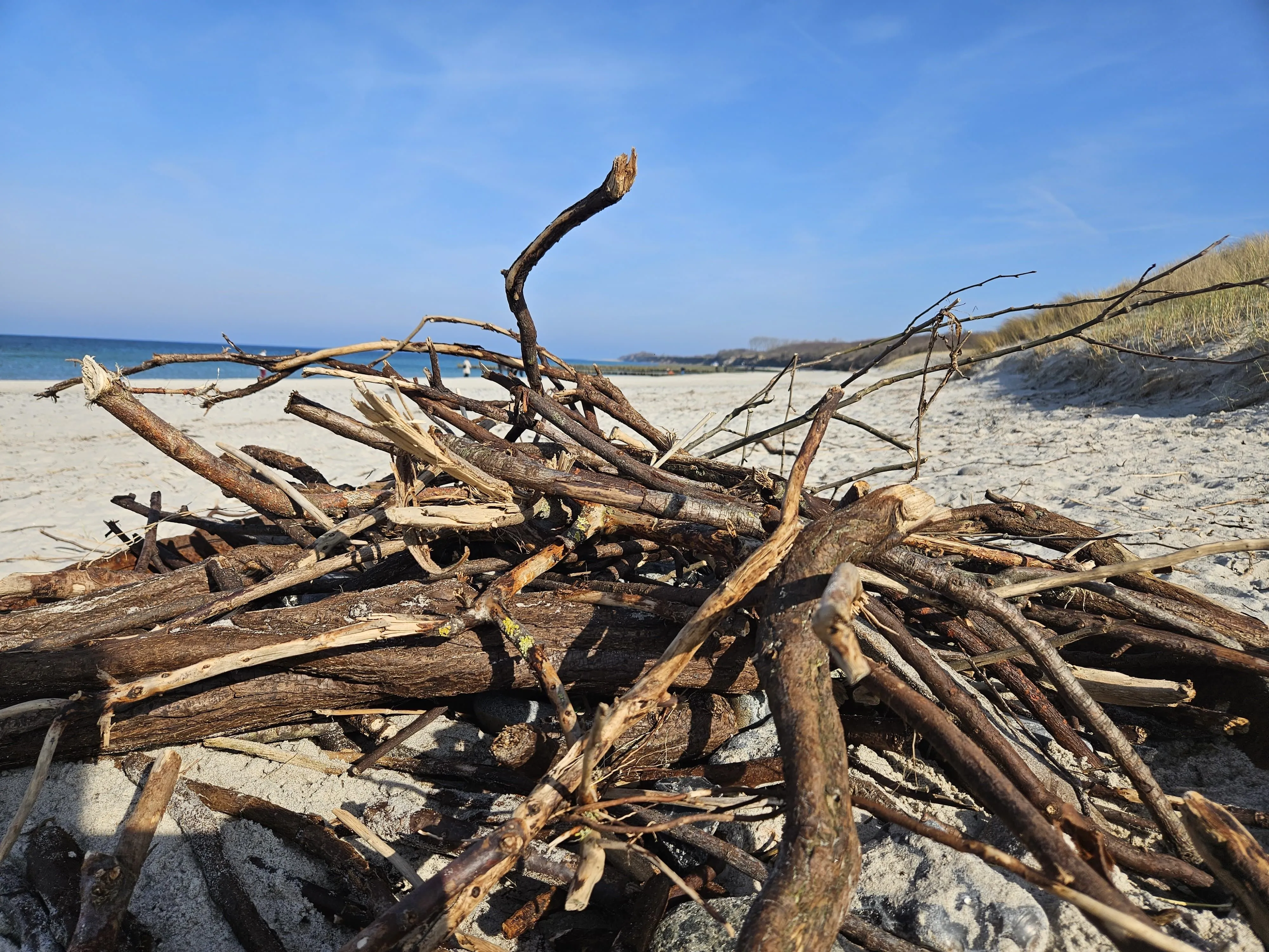  Landhaus DADDELDU Whg. V-D1 (vorne) Ostseebad Ahrenshoop - 