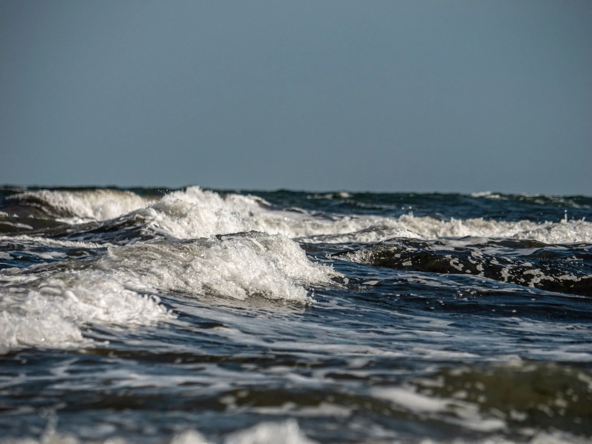 Ferienhaus Strandhaus STRANDHAUS 43a Ostseebad Dierhagen -