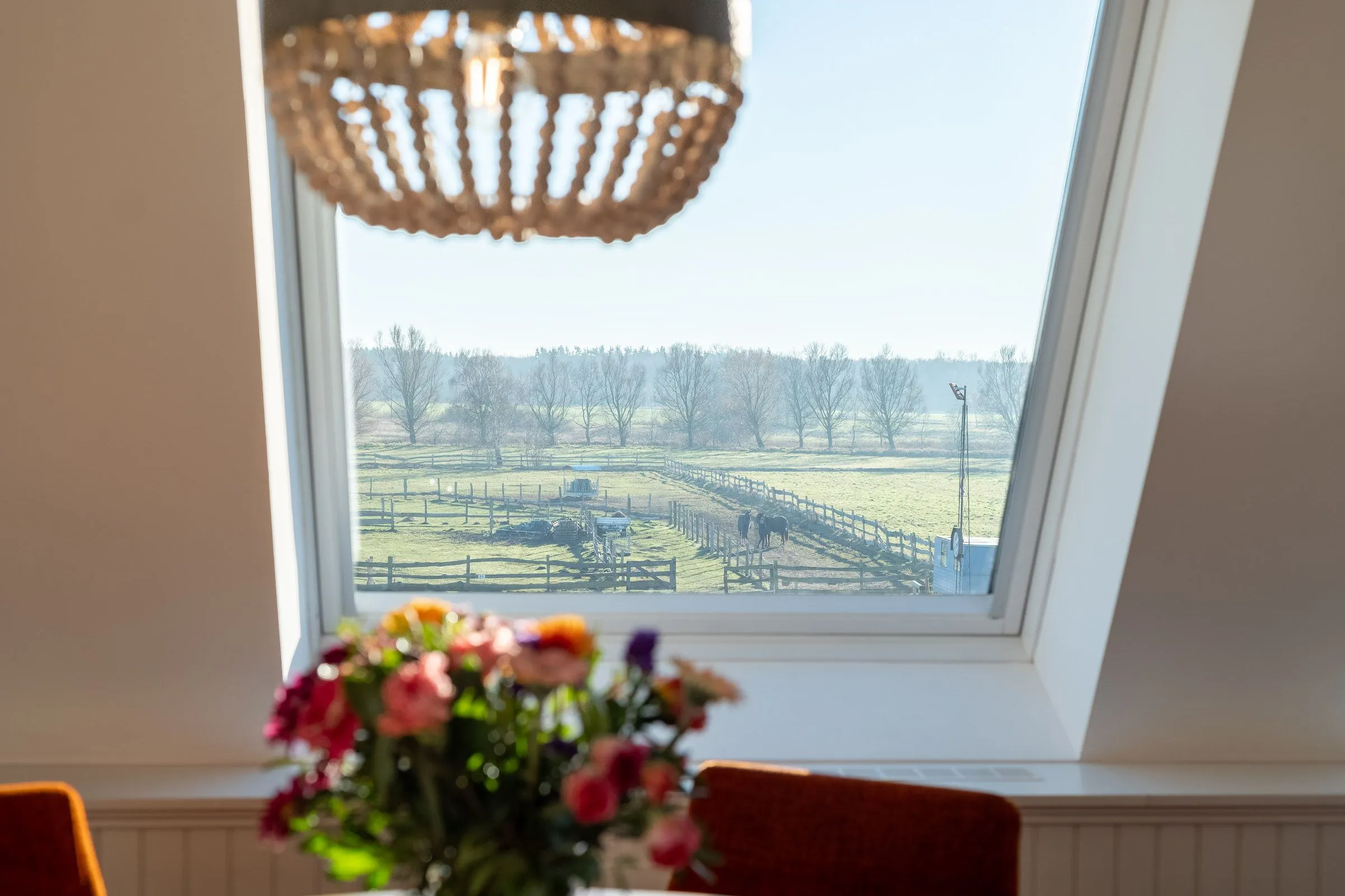 Tom's Hof Ferienwohnung Alex Ostseebad Dierhagen - 