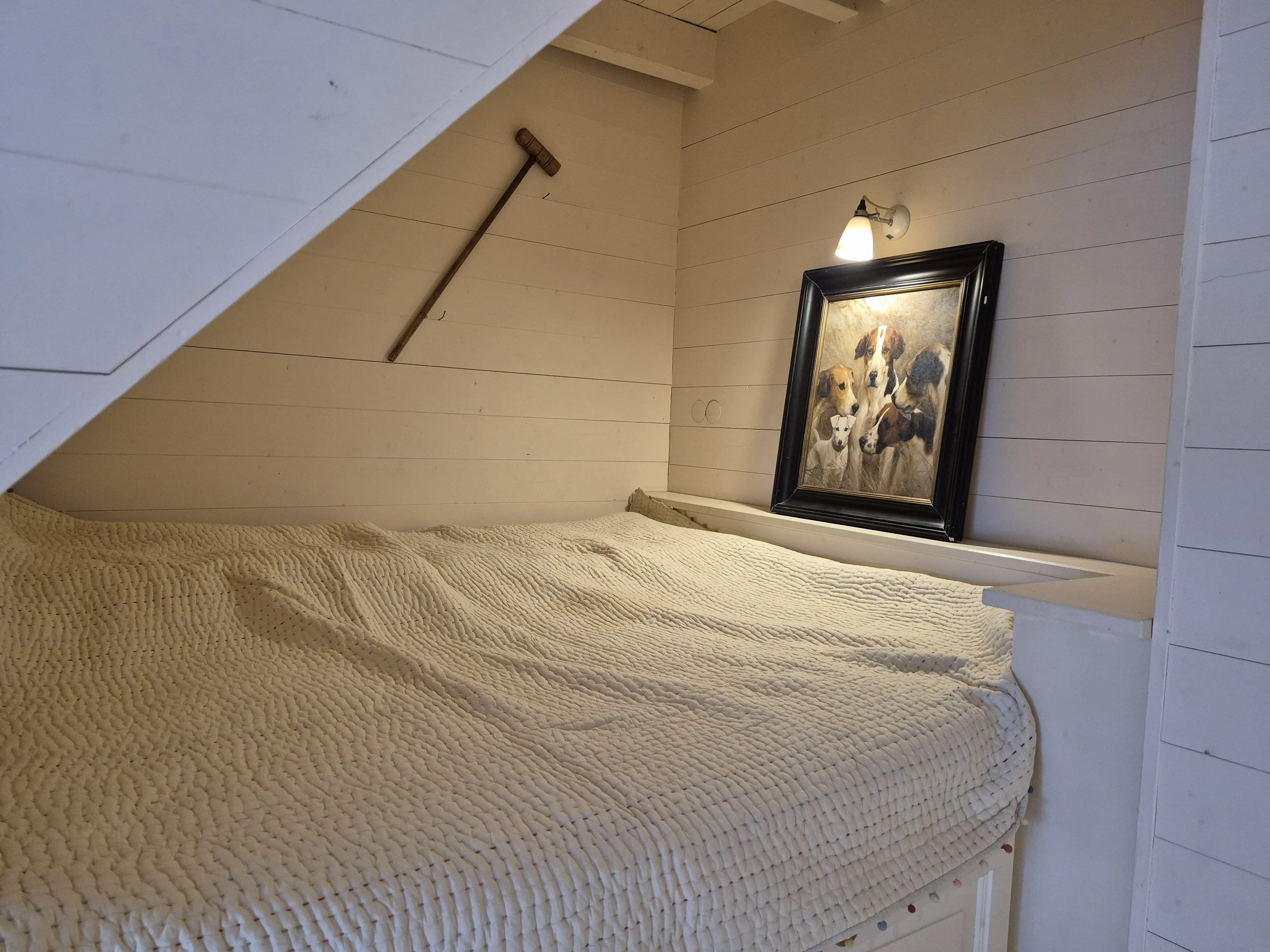  Boddenhaus Ostseebad Ahrenshoop - 