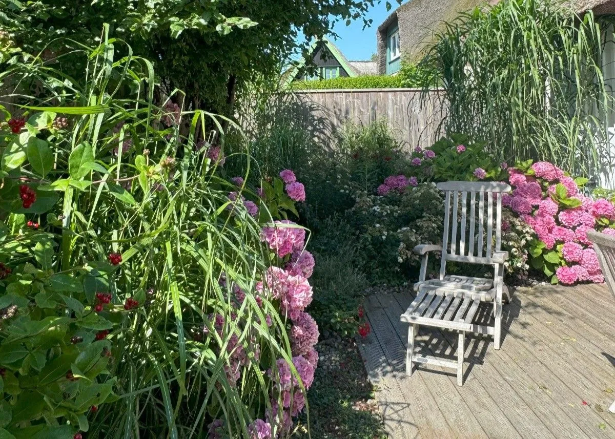  Boddenhaus Ostseebad Ahrenshoop - 