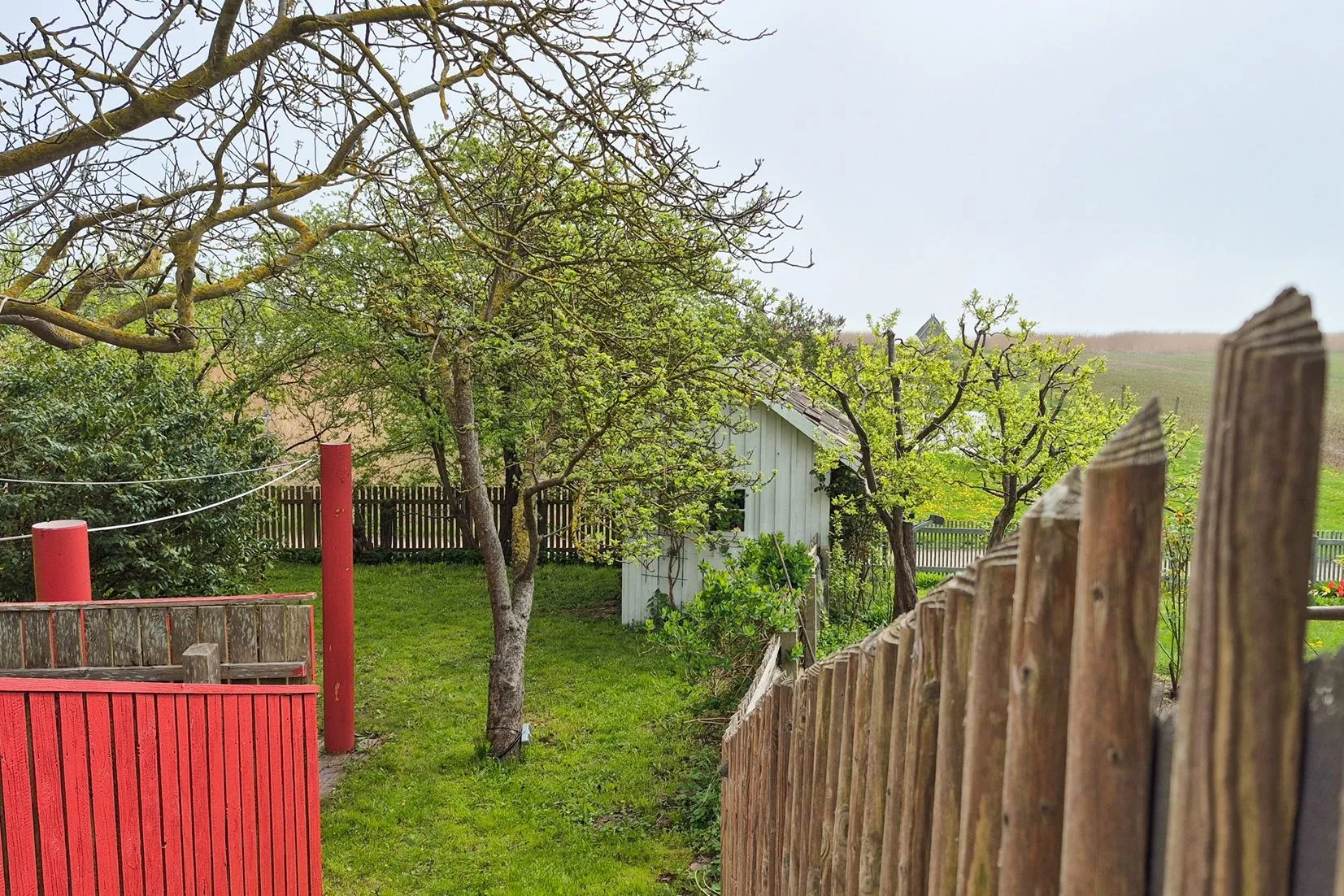  Boddenhaus Ostseebad Ahrenshoop - 